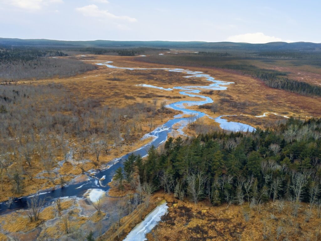 DCIM112MEDIADJI_0670.JPG